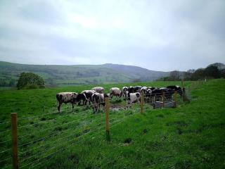 Famau View Farm- Stunning countryside location - Mold - 2