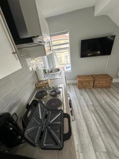 DVM escape Flat 3 - Bristol - 1