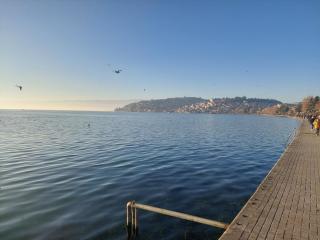 Mateski guest house - Ohrid - 9
