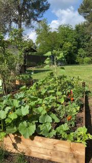Air-conditioned villa with fresh eggs & vegetables - 9