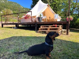 Tranquil Tent Retreat - - 7