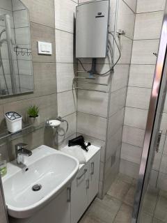 apartmanjagodinaana - 5
