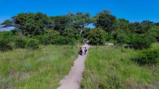 Hyenas Howl Cabins & Campground - Muchenje - 3