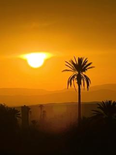 Dar faracha - Ouarzazate - 4
