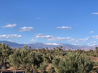 Dar faracha - Ouarzazate - 5