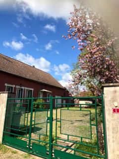 La Maison Rose - - 8