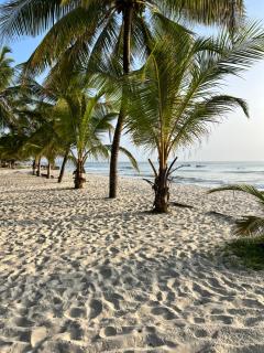 Fisherhut Beachfront Studios - Diani Beach - 2