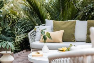 Glasshouse - Coast & Country - Onetangi - 5