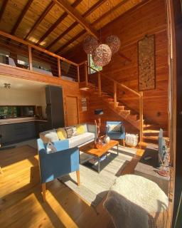 Loft Coigüe, Lodge Pucón Santos del Huife - Pucón - 7