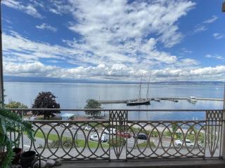 Appartement moderne près des thermes avec balcon et animaux admis - FR-1-498-68 - Évian-les-Bains - 4