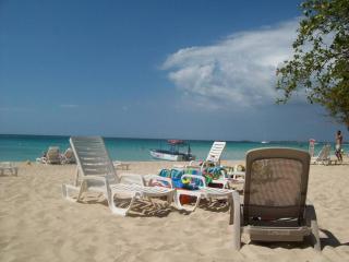 2 BDR Apt on 7 Mile Beach at Negril Beach Club - 9