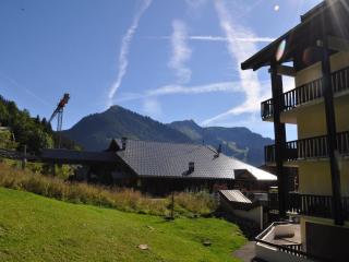 Appartement fonctionnel au centre de Châtel, proche des pistes - FR-1-693-110 - 8