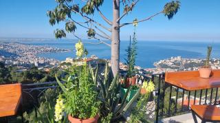 Bella, Serene and breathtaking view Ghazir - 7