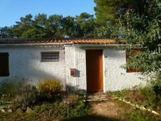 Villa à La Palmyre, 2 chambres, patio sud, proche mer et commerces - FR-1-705-66 - 9