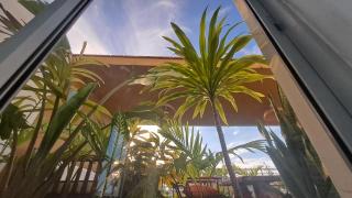 Ary Homestay Nyali- Behind City Mall - Nyali - 6