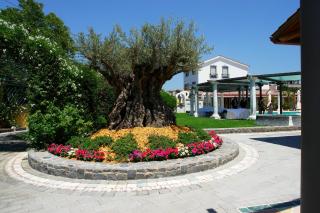 Villa Masseria Marini - 1