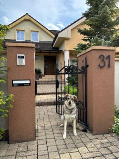 Apartmán pod lesom - Bojnice - 9
