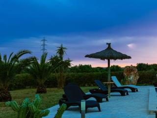 Finca C'an Sebastia - Campos - 9