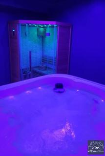 Hébergement avec SPA privatif - 9
