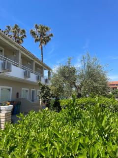 Alexandros Studios Apartments - Roda - 1