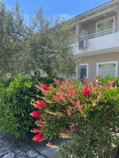 Alexandros Studios Apartments - Roda - 3