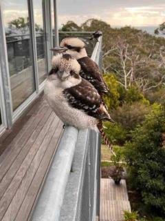 The Eagles Nest! - McCrae - 3