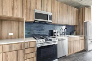 Blueground West Loop rooftop dog wash nr L CHI-1063 - 6