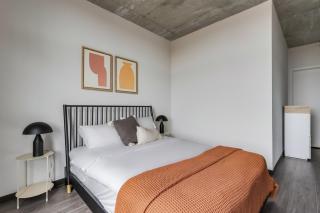 Blueground West Loop rooftop dog wash nr L CHI-1063 - 2