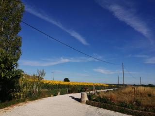 Chambres Rozies Dunes - 9
