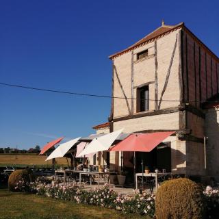 Chambres Rozies Dunes - Dunes - 3