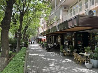 Your Spacious Home, City Center - Yerevan - 6