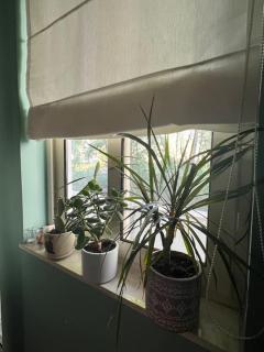 Margerita Seaside Apartment - Golem - 2