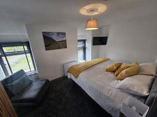 cosy cottage in snowdonia - Brynkir - 1
