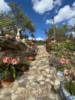 Villa El Pedregal - Parque Sierra de las Nieves - 5