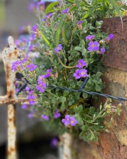 Bridge House - Chichester - 4
