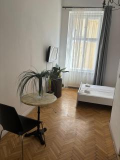 Spring Roses Downtown Boutique Hotel 2 - Budapest - 3
