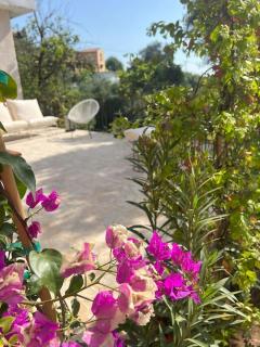 BugenVilla - South Corfu house - Argyrádes - 1