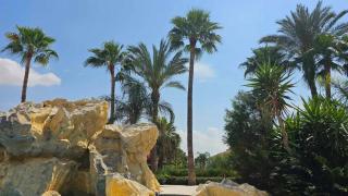 Mediterranean Sunrise Apartments A1 - 7