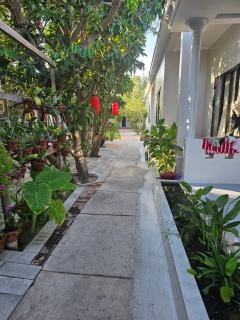 Cay Phuong Guesthouse - Mũi Né - 4
