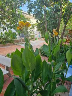 Cay Phuong Guesthouse - Mũi Né - 5