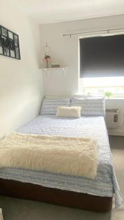 Nice room on the friendly flat - Londres - 2