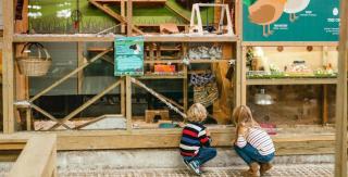 Dome Meadows 3 At Tapnell Farm - 9