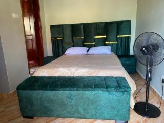 HA LUXURY AIR B&B2 - Kampala - 5
