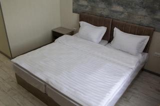 Artist Regency Hotel - Tashkent - 3