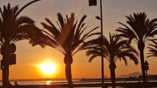 Toledo Gran Playa - Santa Pola - 4