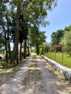Villa Vanangi - Ceglie Messapica - 5