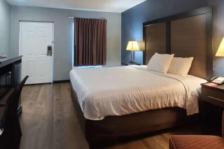Econo Lodge - Forest City - 5