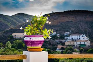 Azul - A self-catering apartment with shared pool & hot tub in Oria - Oria - 9