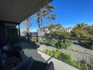 Luxury CBD 1 Bedroom Apartment with Free Parking - Christchurch - 4