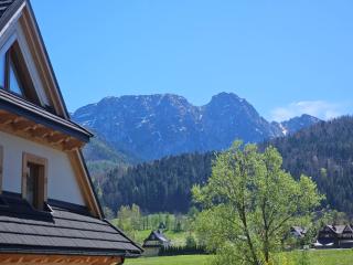 Apartament Rodzinny Tatra Giewont View Skibówki 11A by RentiloPL - Zakopane - 0